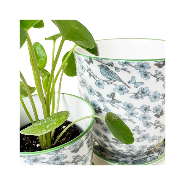 Big Liberte Plant Pot with Saucer - Blue Flowers