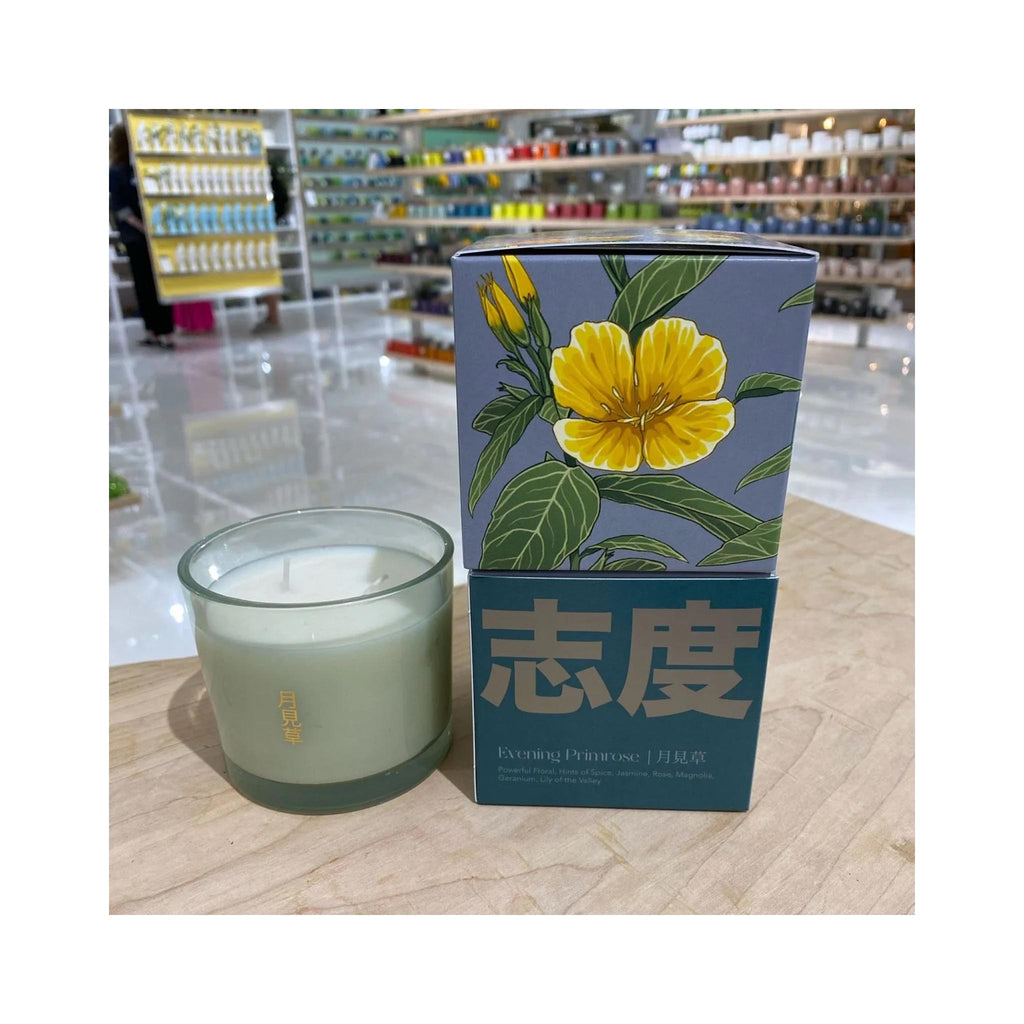 Shido Candles - Evening Primrose