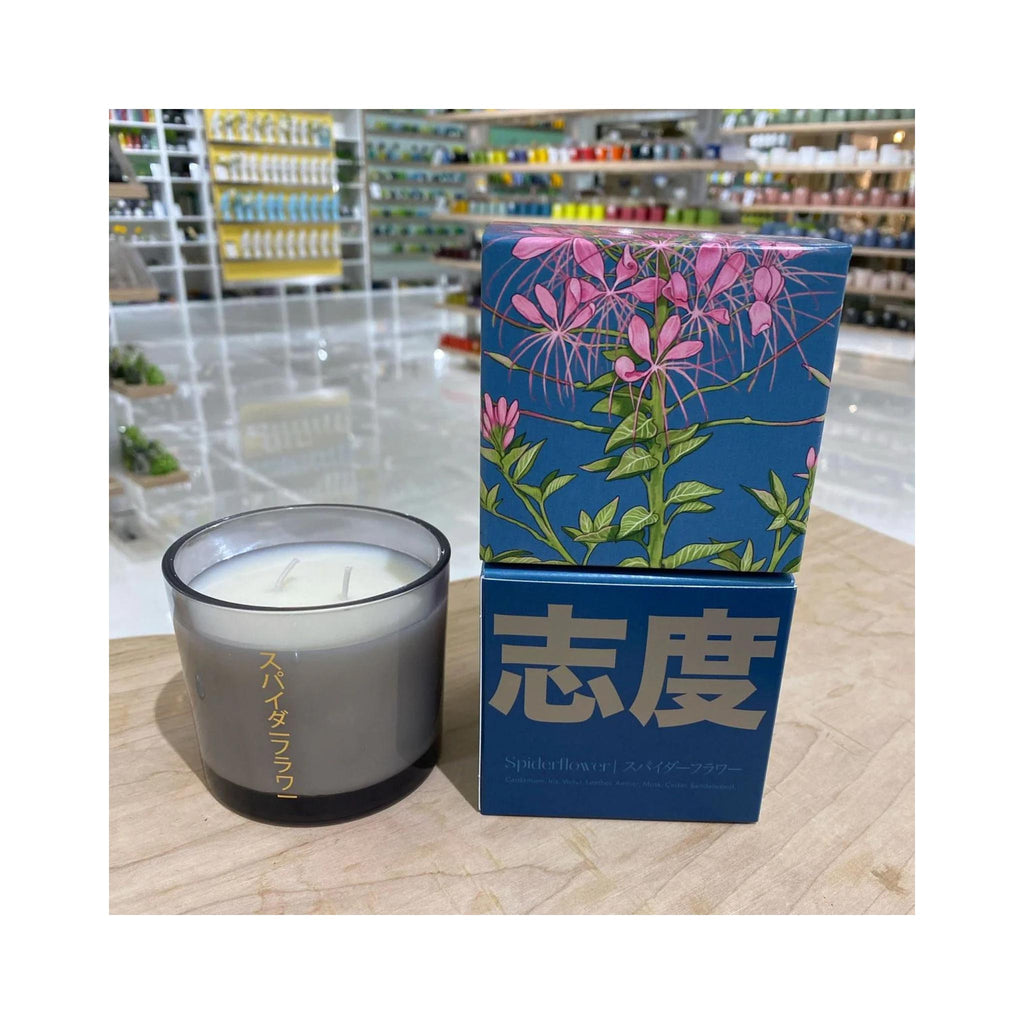 Shido Candles - Spiderflower