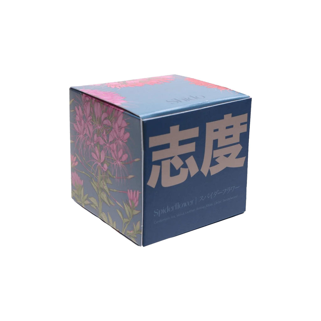Shido Candles - Spiderflower