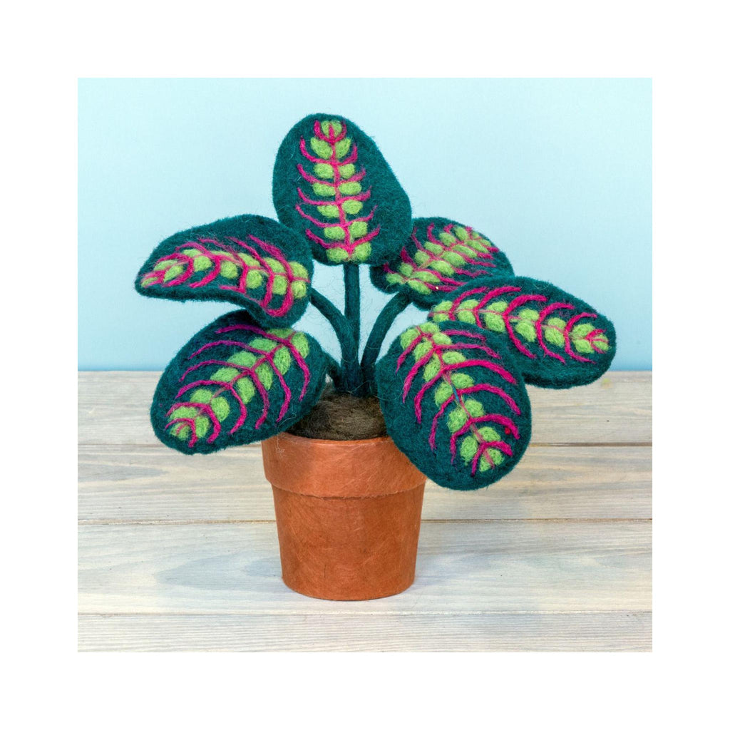Potted Felt Tropical Plants - Prayer Plant