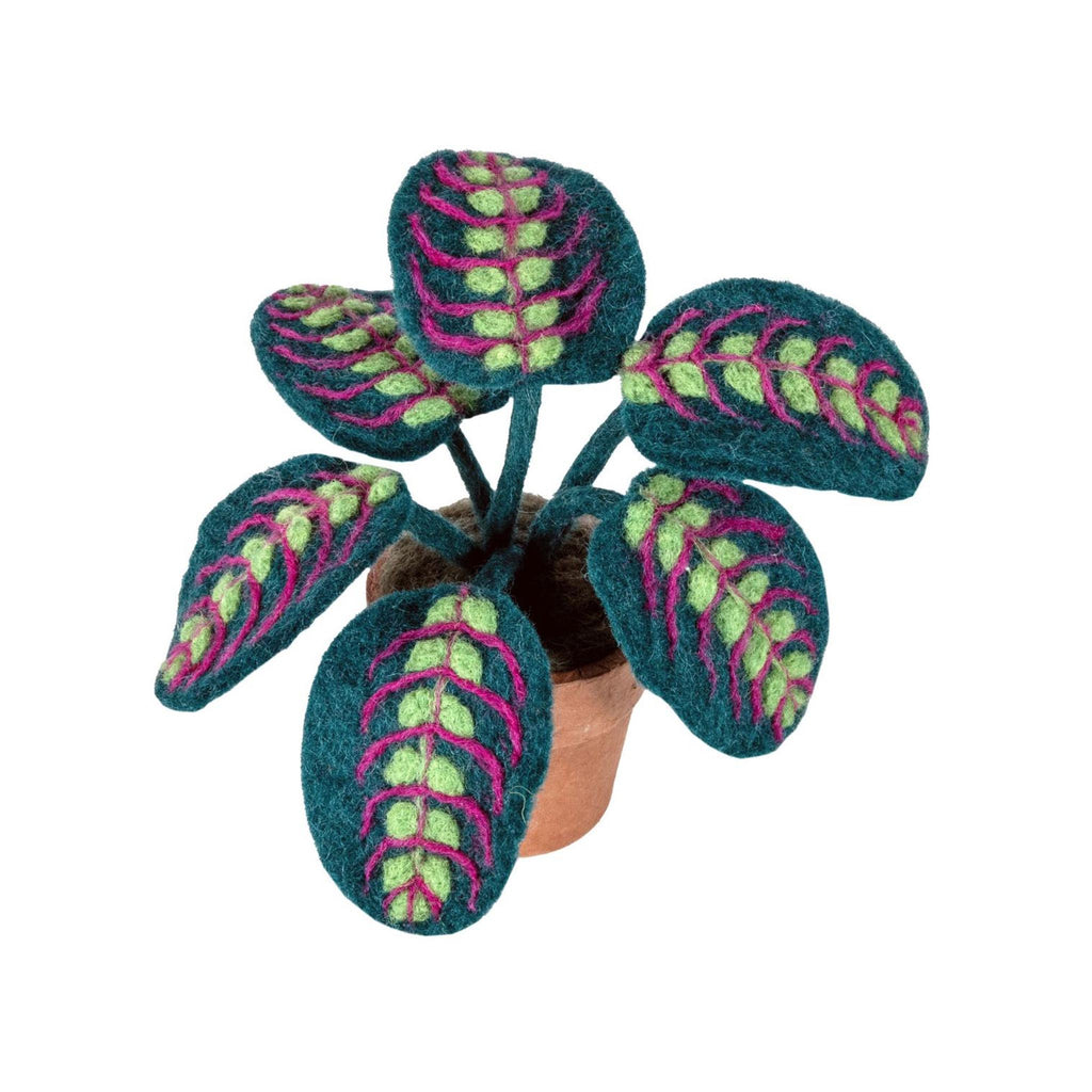 Potted Felt Tropical Plants - Prayer Plant