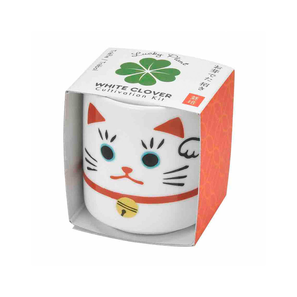 Lucky Plants - Beckoning Cat