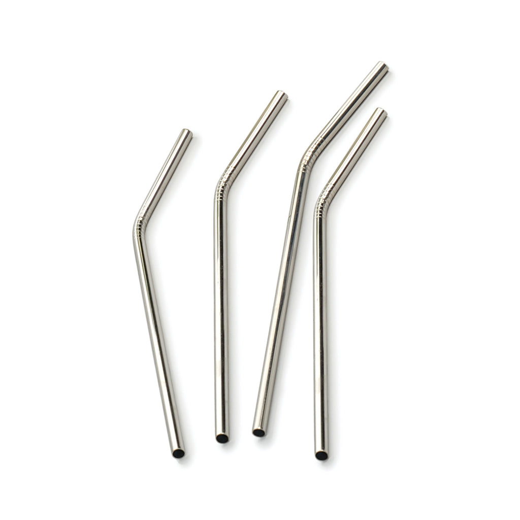 Stainless Steel Straws Set of 4