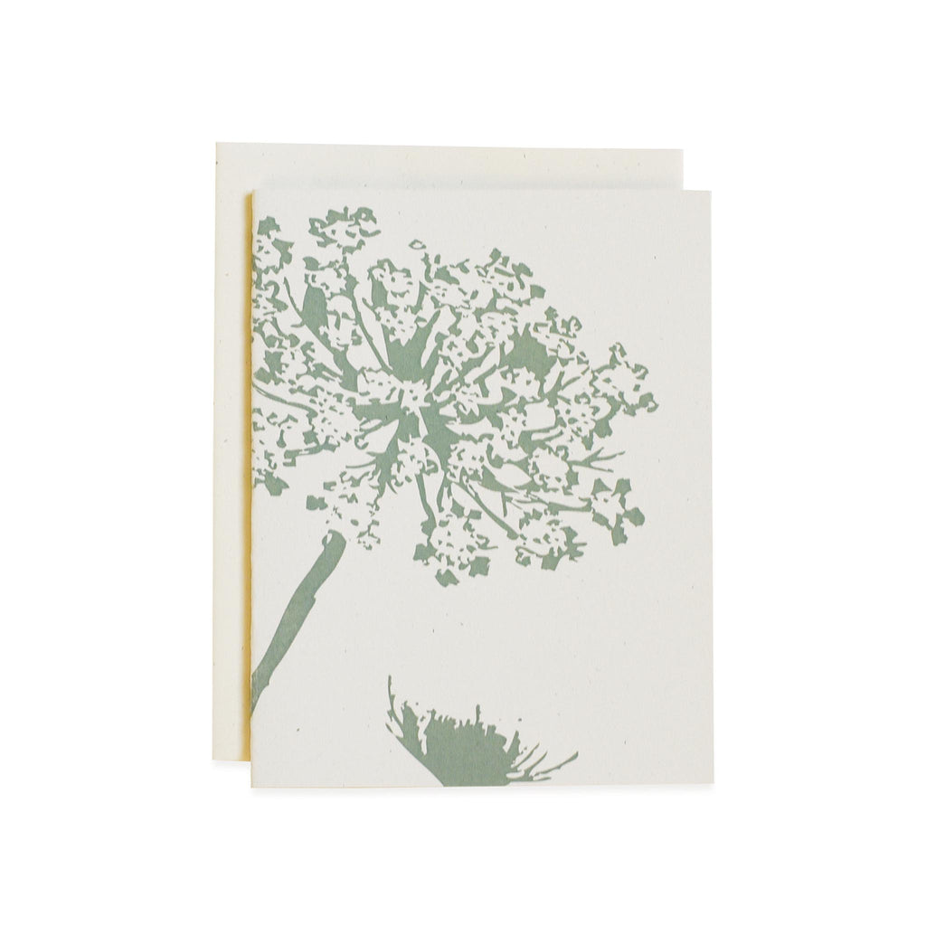 Queen Anne's Lace Blank Note Card