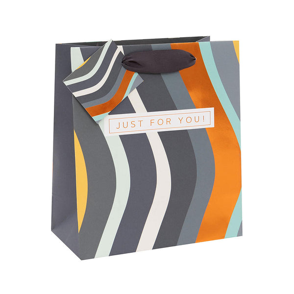 Medium Gift Bag - Color Waves