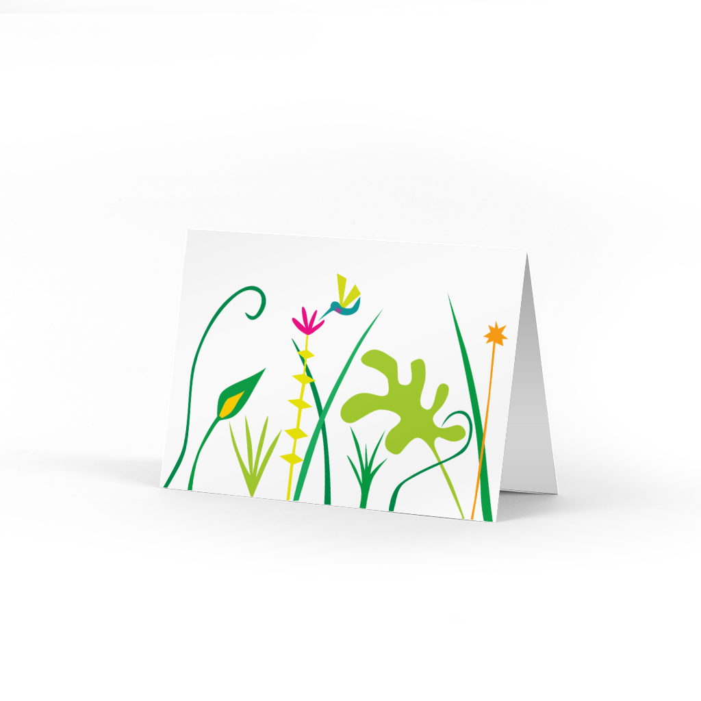 Hummingbird Garden Boxed Note Cards