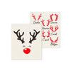 Swedish Dishcloth Sets - Holiday - Rudolf & Friends