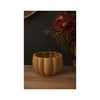 Spiced Pumpkin Planter Pots - Spiced Pumpkin Planter Pots