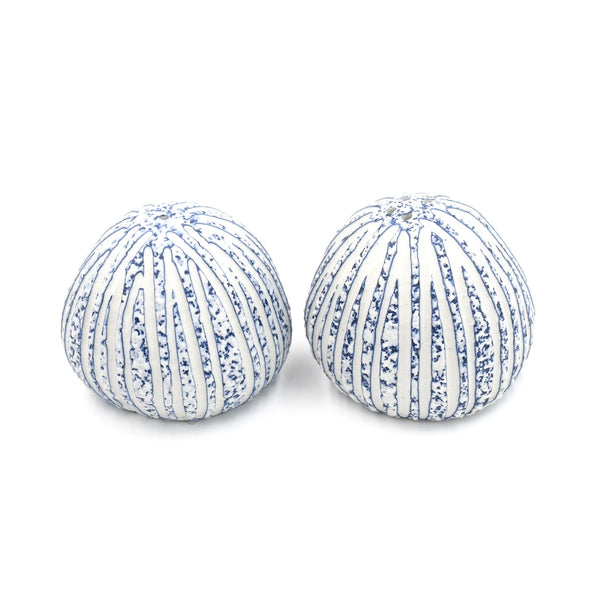 Blue & White Textured Salt & Pepper Set