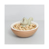 Hungry Squirrel Appetizer Bowl - in use