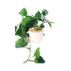 Faux Philodendron Trailing Plant