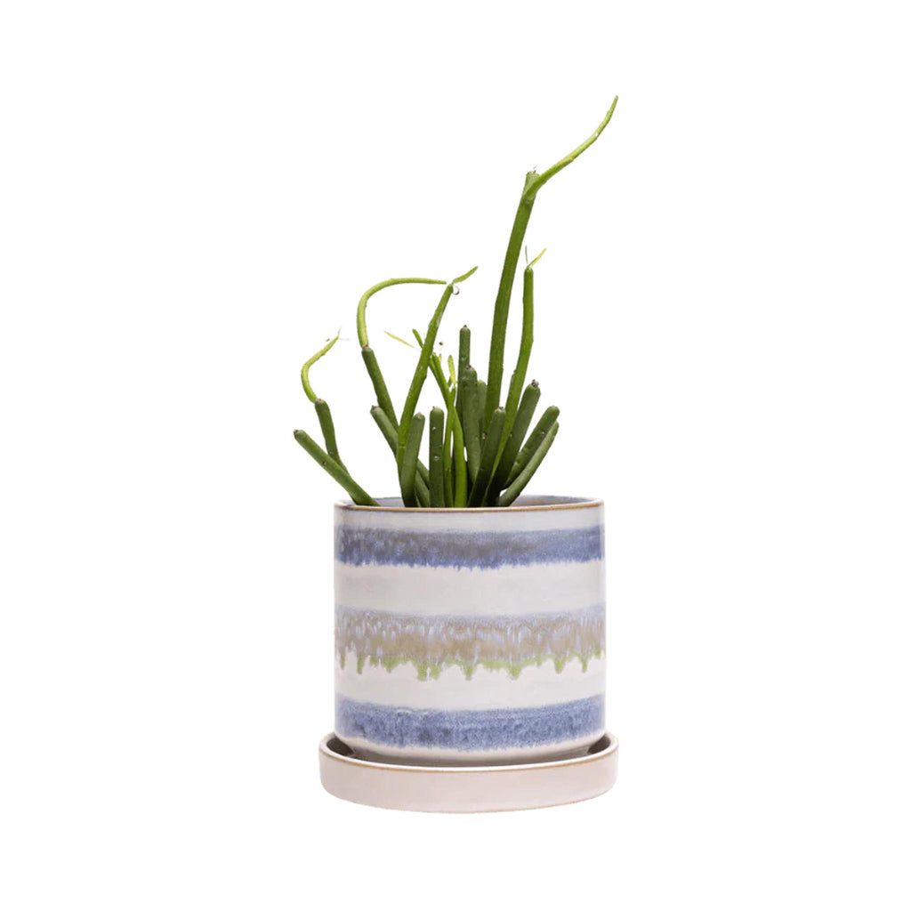 Colori Prep Paring Knife Set - Blue & Green Layers