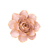 Ceramic Flower - Champagne English Rose