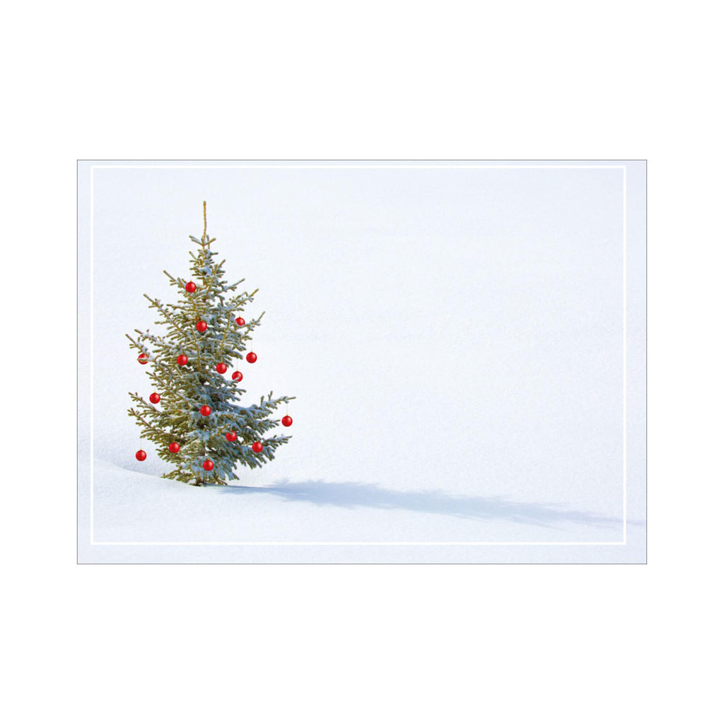 Crane Creek Boxed Cards - Holiday Spirit