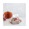 Dried Cornhusk Turkey Place Card Holders Set of 3 - in use