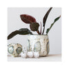 Reactive Glaze Stoneware Planter - in use