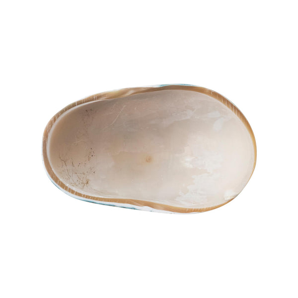 Petite Decorative Natural Shell Footed Dish - interior
