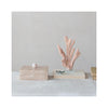Petite Decorative Natural Shell Footed Dish - in situ