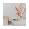 Petite Decorative Natural Shell Footed Dish - in situ
