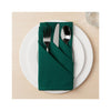 Spectrum Napkin - Spruce (Set of 4) - one in use