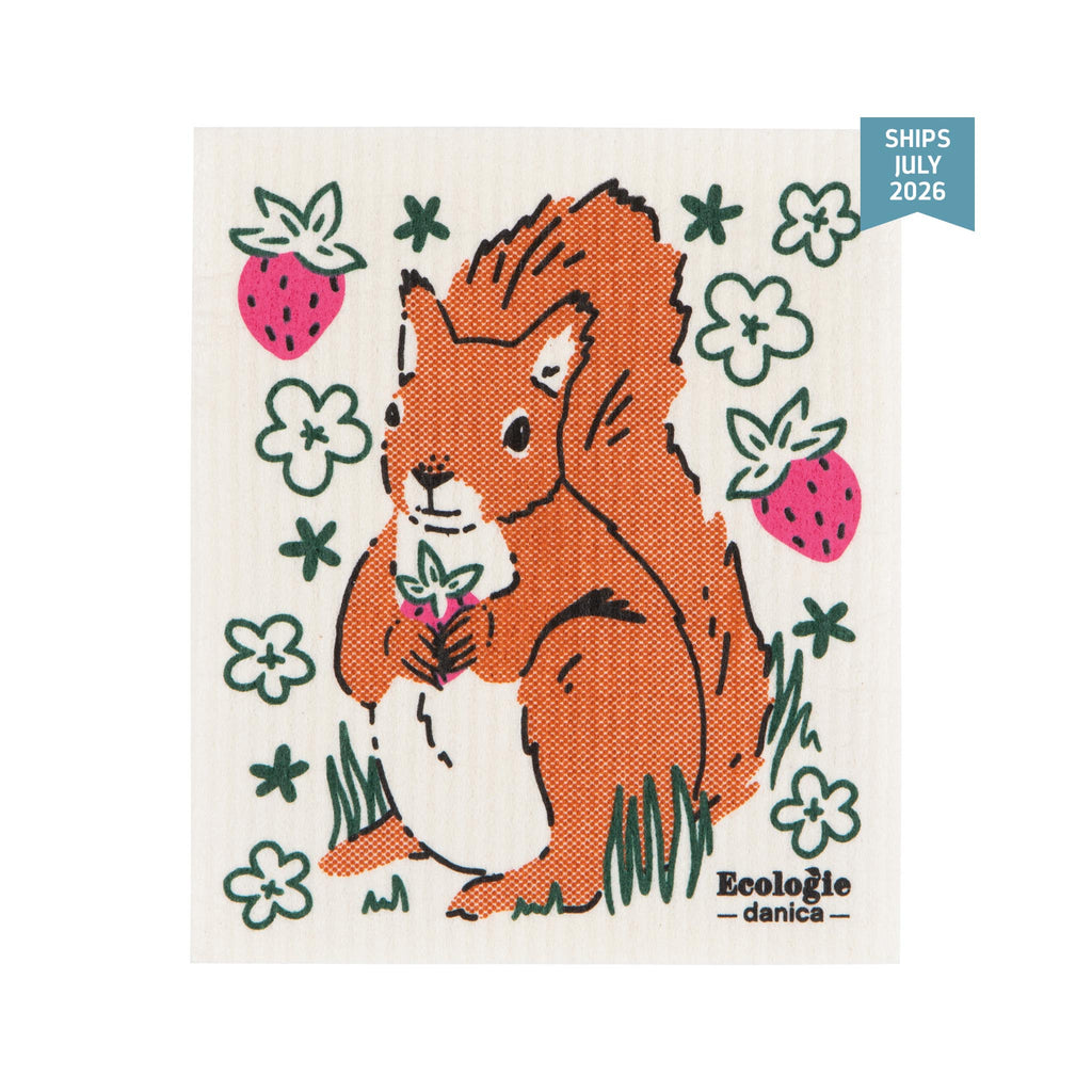 Ecologie Swedish Dishcloths - Mr. Squirrel