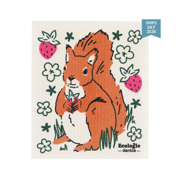Ecologie Swedish Dishcloths - Mr. Squirrel