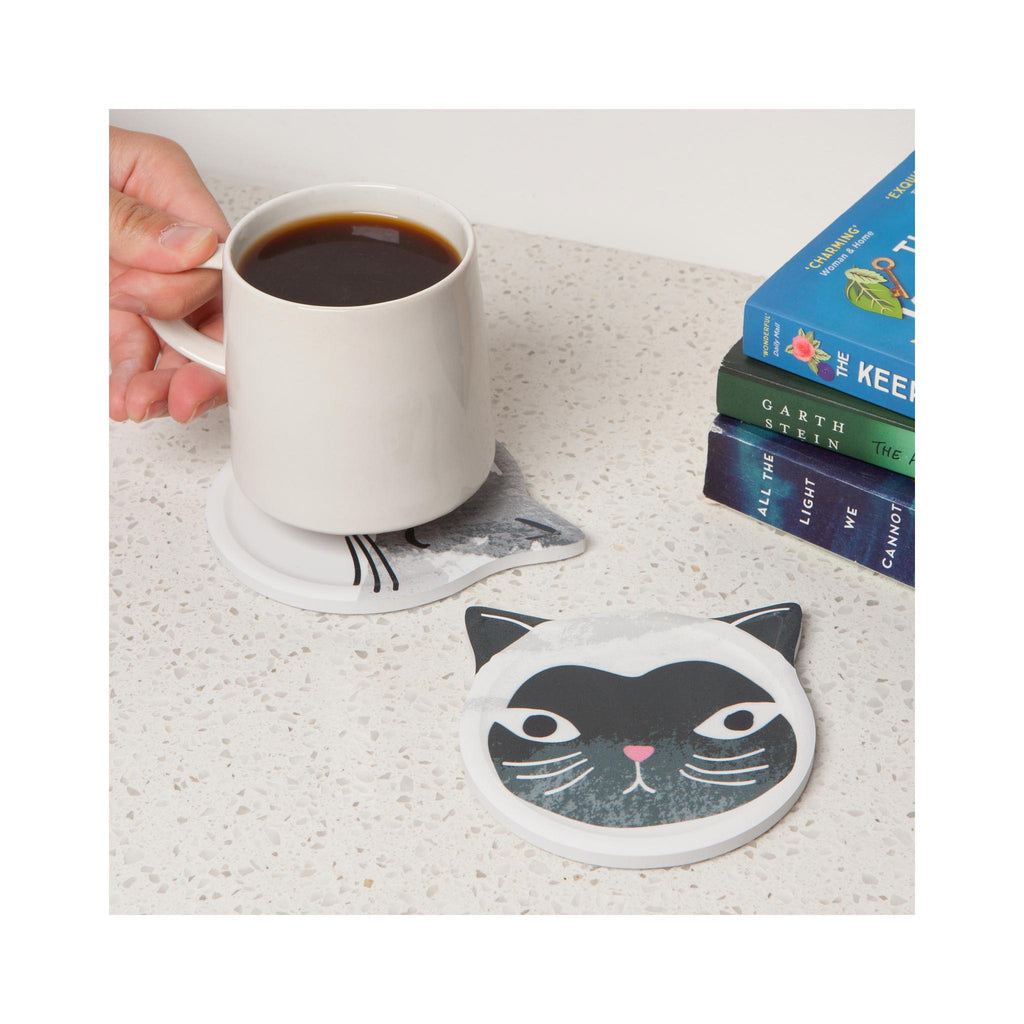 Cats Meow Soak Up Coasters - in use