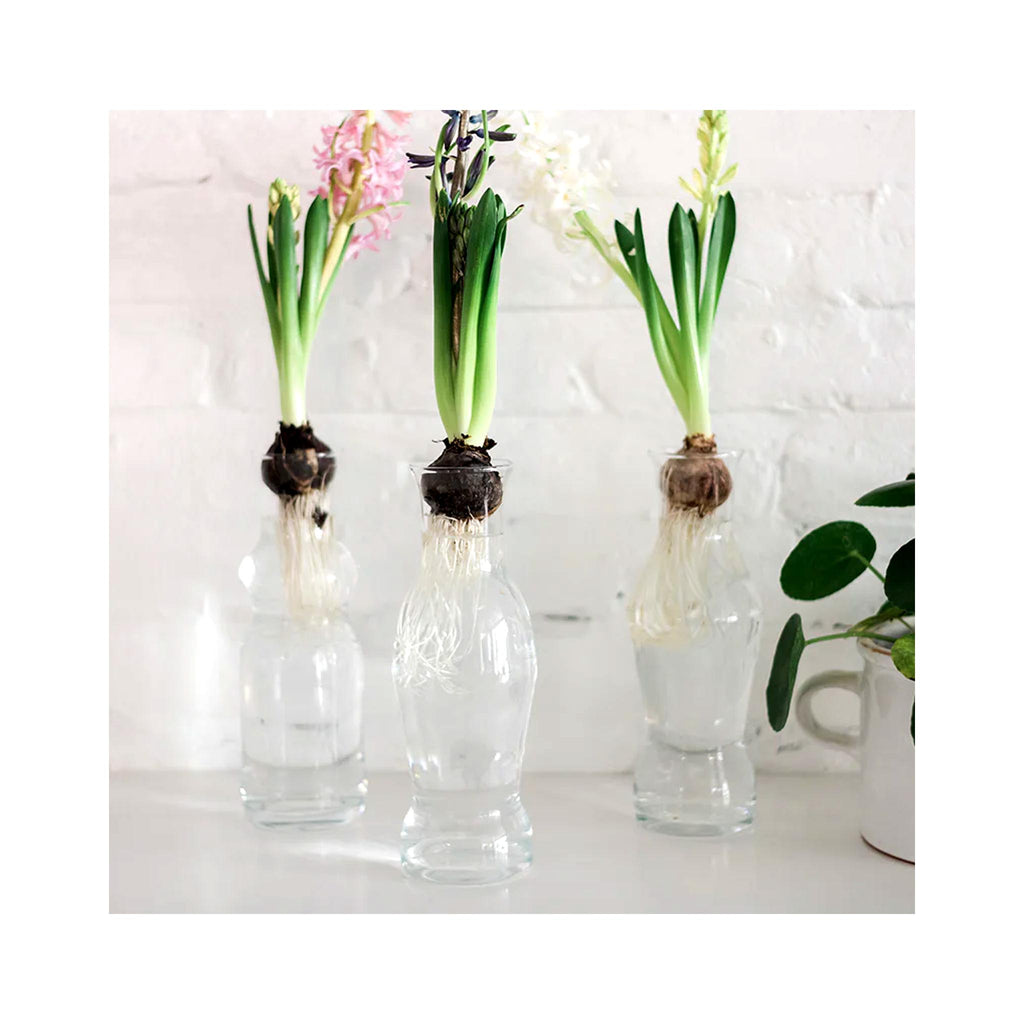 Catalonia Carafe - as forcing bulb vessel