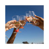 Party Pinchers Drink Markers Set of 6 - in use