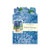 Fresh Cut Paper 3D Pop Up Bouquet - Nantucket Hydrangeas - package
