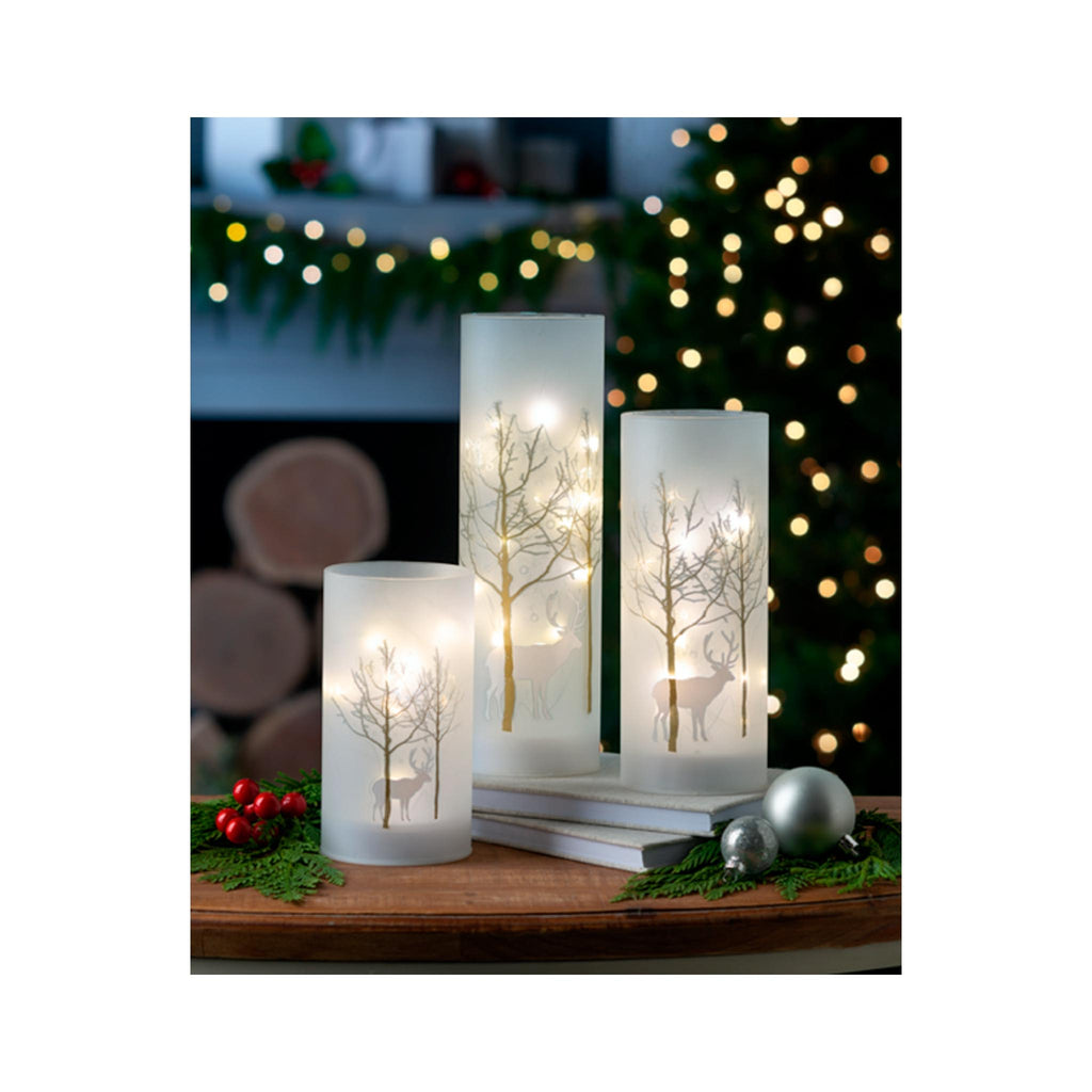 LED Light Up Birch Forest Lanterns - on display