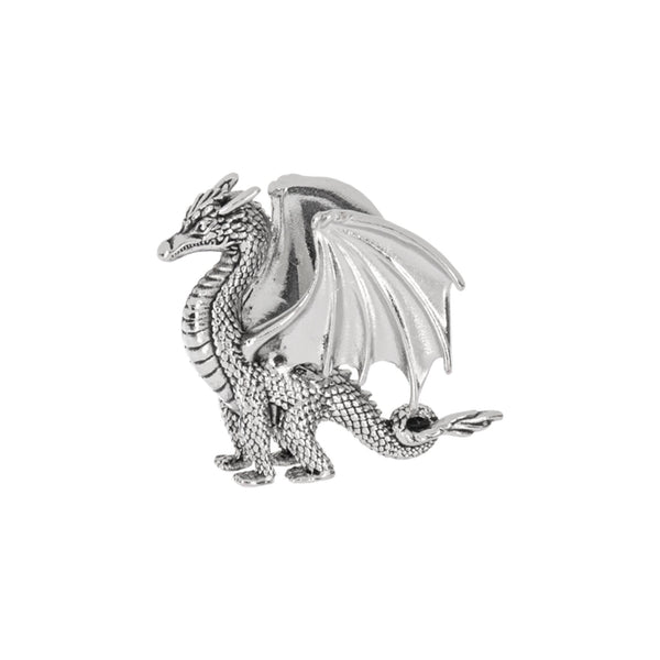Lucky Little Dragon Charm