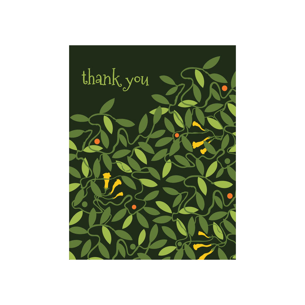 Thank You Vines Boxed Cards