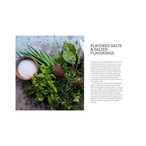 The Miracle of Salt - page