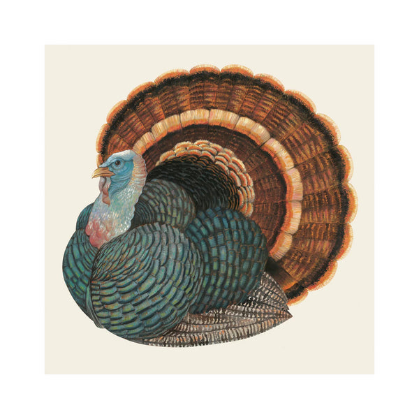 Heritage Turkey Beverage Napkins