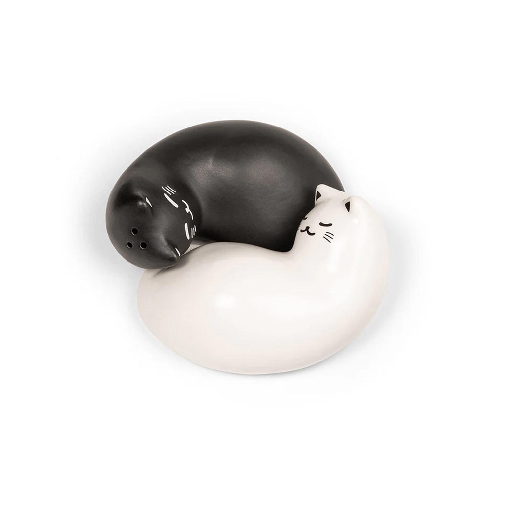 Purrfect Salt & Pepper Shaker Set