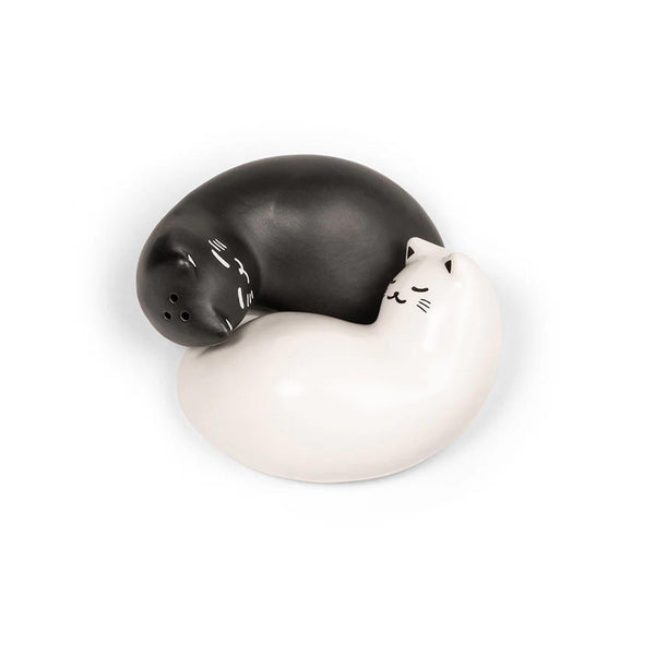 Purrfect Salt & Pepper Shaker Set