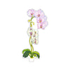 Kimberly Hodges Acrylic Flowers - Large - Pink Stripe Orchid