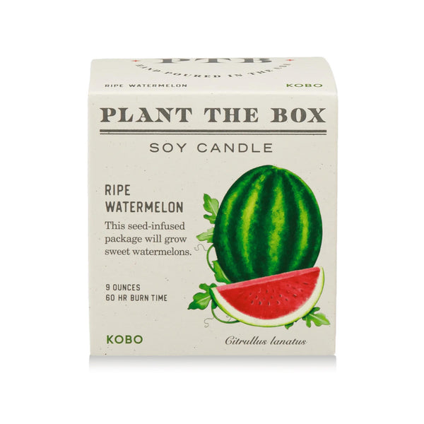 Seeds Collection Soy Candle: Ripe Watermelon
