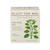 Seeds Collection Soy Candle: Fresh Picked Basil
