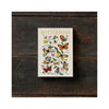 Koustrup & Co. Butterflies Notecards Set of 8