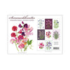 Koustrup & Co. Summer Flowers Notecards Set of 8 - designs