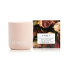 Luxor Candles - Fancy