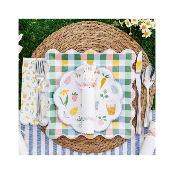 Hopscotch Gingham 10" Paper Plates - in use