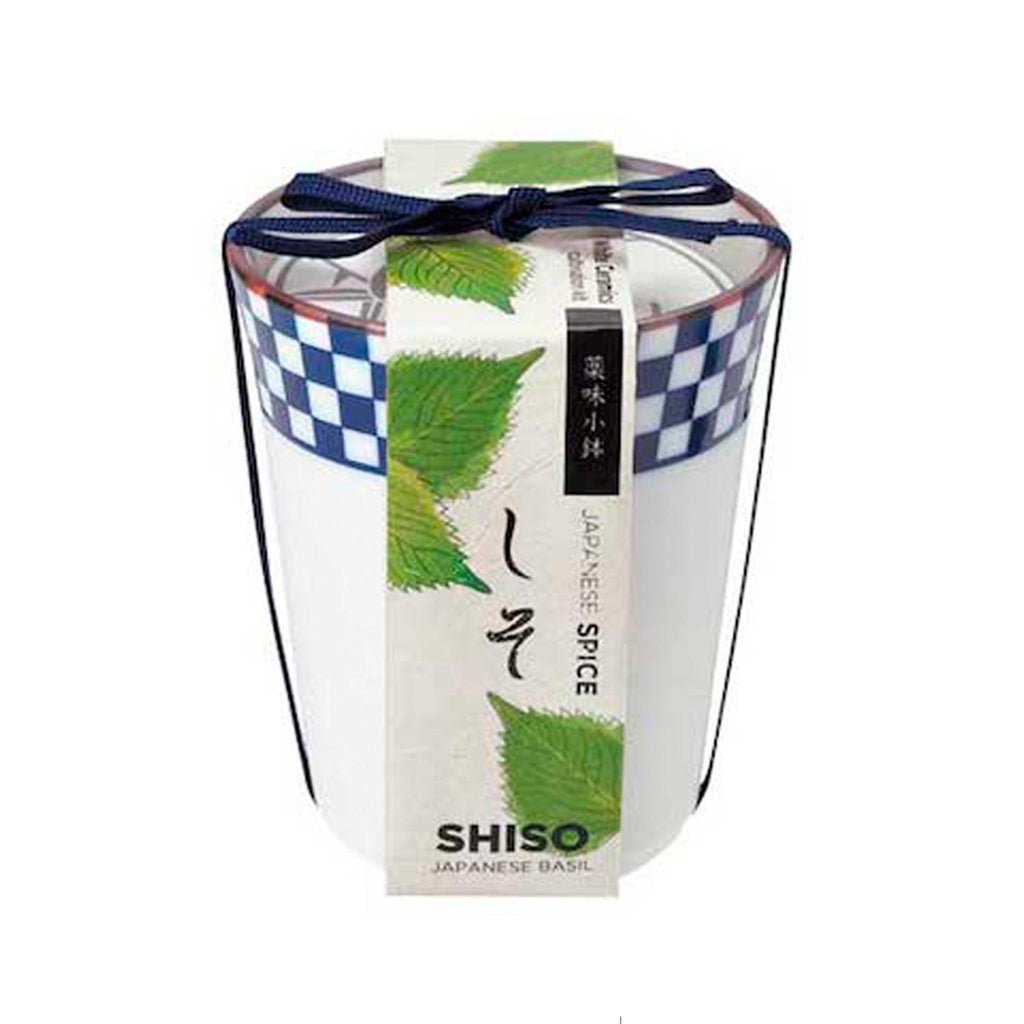 Yakumi Japanese Spice Plants - Shiso