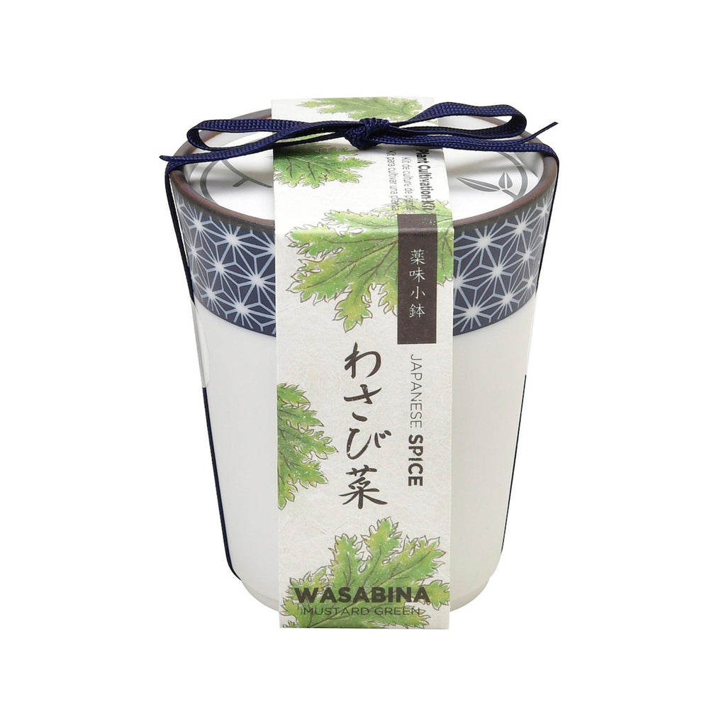 Yakumi Japanese Spice Plants - Wasabina