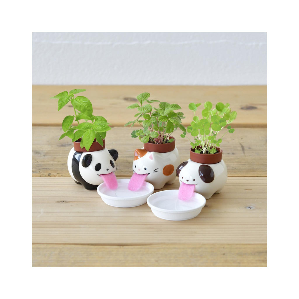 Peropon Panda