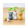 Corocoro Cats