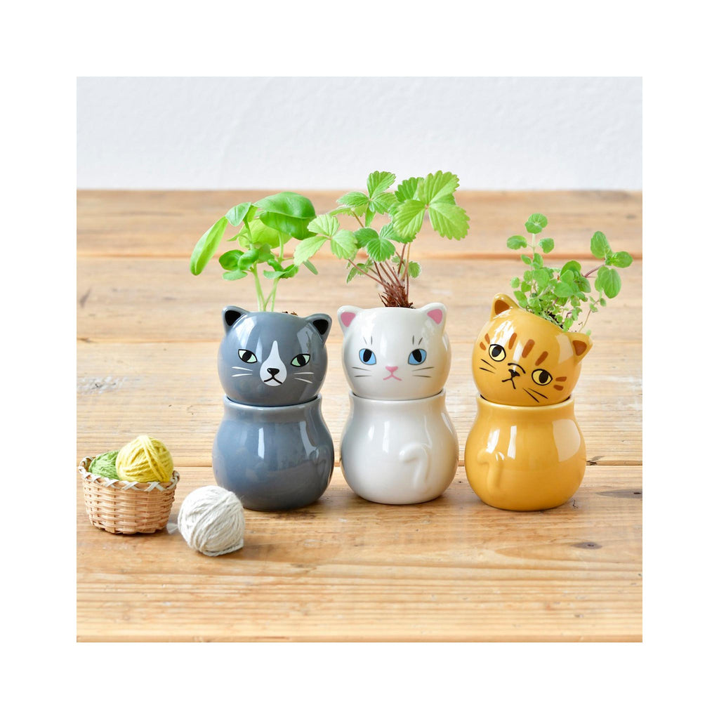 Corocoro Cats